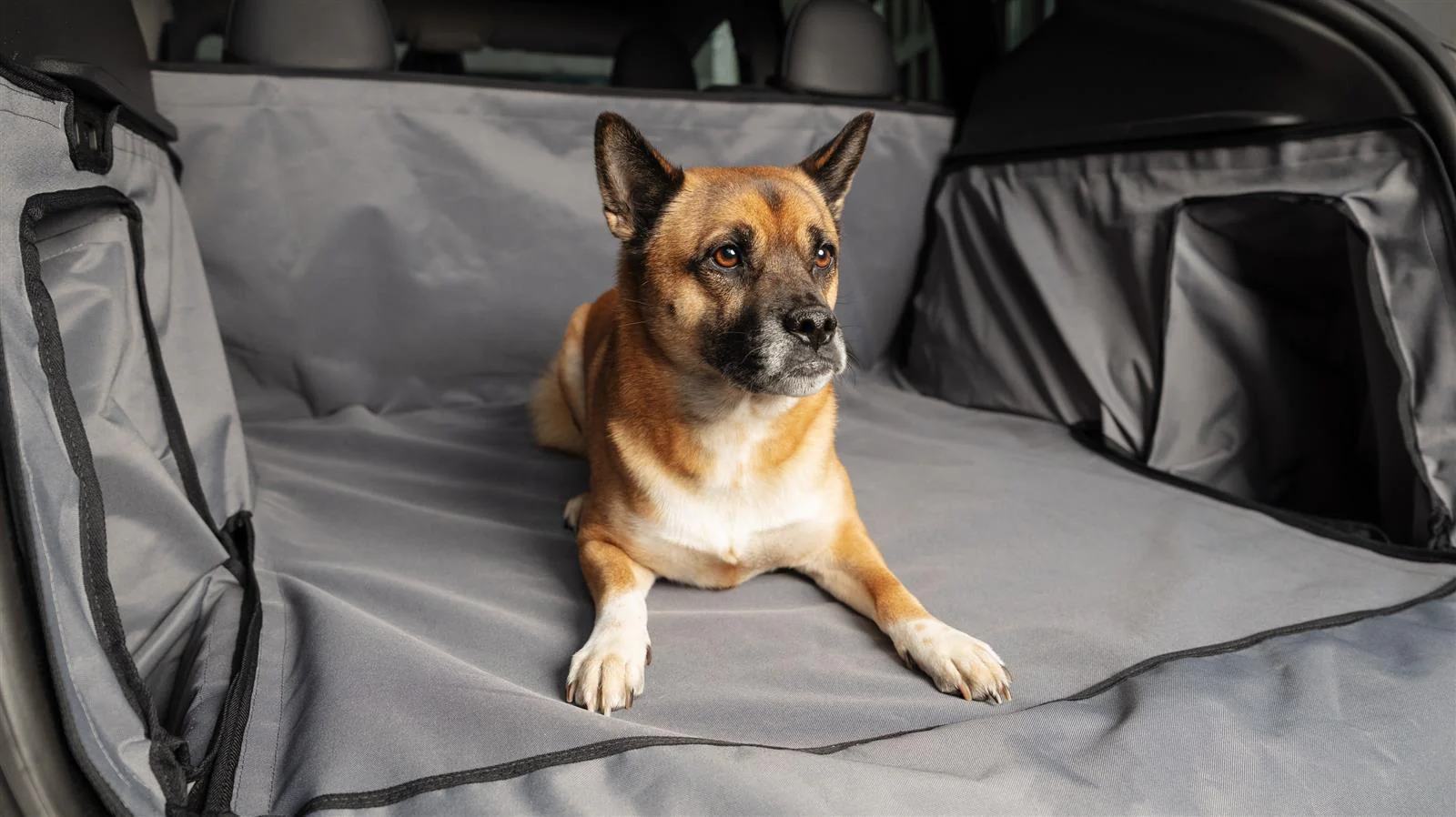 2befair Kofferraumschutz für Hunde, Alltag und Ladung – passend für das Tesla Model Y - Image 3